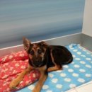 사월농장 이미지