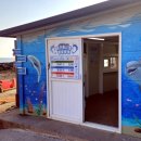 동일리-7 이미지