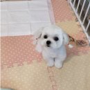 용해사우나 이미지