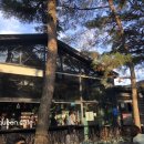 트리팜(TreeFarm)