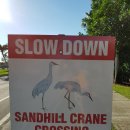 (주)샌드힐 이미지