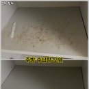 먼지도둑 네이버블로그