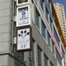 프찌 | [천안 두정동]내돈내산 애견카페 프찌 후기ᦂ