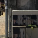 페노모브 푸어링아웃(phenomof pouring out)