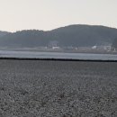 바닷가모텔 이미지