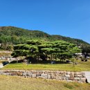 임천관아지 이미지