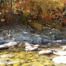 구만동 오토캠핑장 이미지