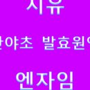 지유 공동체