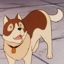 파트라슈 이미지