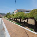 영양중학교입암분교장 네이버블로그