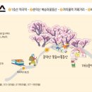 도약로282번길 이미지