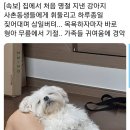 한국라이프 이미지