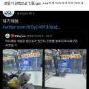 인형뽑기로 장난하는 사장님 참교육해주는 트위터리안 이미지