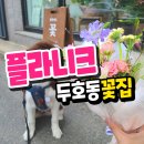 플라니크 | 포항 플라니크 영일대 두호동꽃집 솔직후기