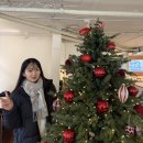중화명가 | 2024 12월 일상 최최최종.blog (근데 이제 1월 일상을 곁들인)