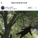 갑자기