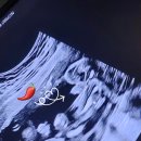 이랜드평촌프라자 이미지