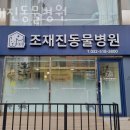 조재진동물병원 | 인천 산곡동 동물병원 조재진동물병원 위치 오는길 후기