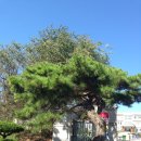 기산초등학교 앞 이미지