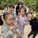 중앙초등학교병설유치원 이미지