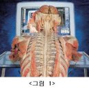 월간 클리어 2007년 11월호" 연재 (連載)글 요가근육학 이미지