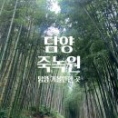 죽림정미소 | 담양 여행 가볼만한곳 중 힐링하기 좋았던 죽녹원