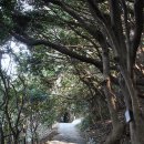 양지암등대길 이미지