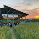 밀밭농장 이미지