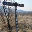 양평체육공원길 이미지