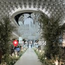 w-8 | W1. 부산 벡스코 W웨딩 계약후기(26년 8월)