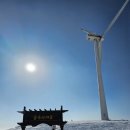 도전목장 이미지