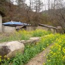 쌍계민박 이미지