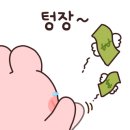 에코크린용인