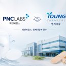 영피앤씨
