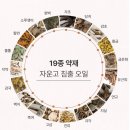 벨하이솝 이미지