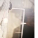 더블유브릿지