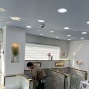 남지애견샵 이미지