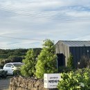 에벤에셀봉투 | [제주] 서귀포 에어비앤비 작은 독채의 감성숙소 에벤에셀