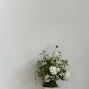 노브 | WD3) 천안 퍼스트웨딩 풀패키지 계약부터 스튜디오 노브 촬영 후기(2)