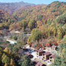 금원산자연휴양림 이미지