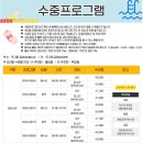시립마포청소년센터 | 시립마포청소년센터 일요일 자유수영 이용 후기