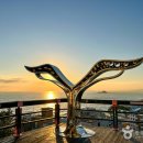 영랑호수윗길 이미지