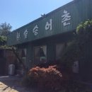 한솔송어촌