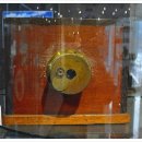 한국카메라박물관 이미지