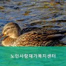 대덕구노인복지센터 | 믿을 수 있는 대덕구 추천 요양원 노인사랑재가복지센터 믿고 선택하는 곳