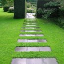 그린카펫 이미지