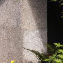 소요소림 이미지