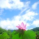 김*필 이미지