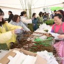 주식회사 희망나무 이미지