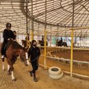 충무승마장 이미지